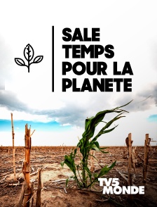 TV5MONDE - Sale temps pour la planète