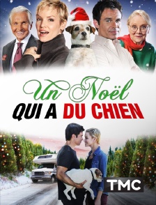 TMC - Un Noël qui a du chien !