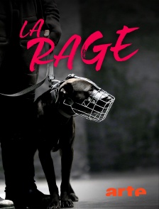 Arte - La rage