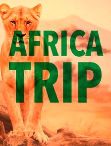 Africa Trip