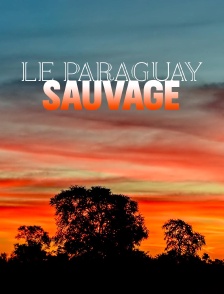 Le Paraguay sauvage