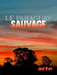 Arte - Le Paraguay sauvage