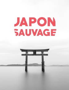 Japon sauvage