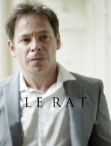 Le rat