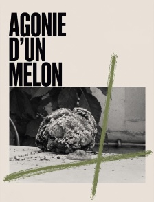 Agonie d'un melon