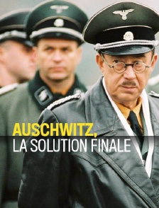Auschwitz, la solution finale