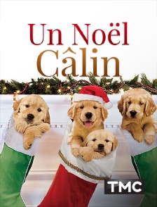 Un Noël câlin