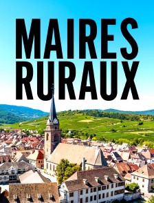 Maires ruraux, à l'épreuve du réel