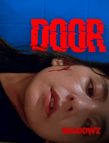 Shadowz - Door