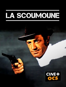 CINÉ Cinéma - La Scoumoune en replay