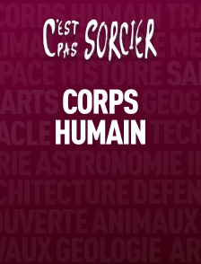 C'est pas sorcier : Le corps humain