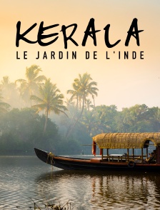 Kerala, le jardin de l'Inde