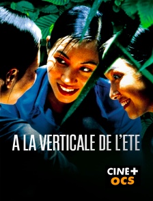 CINÉ Cinéma - A la verticale de l'été