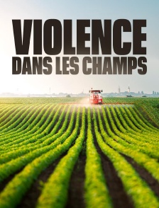 Violence dans les champs