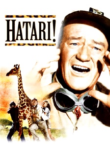 Hatari !
