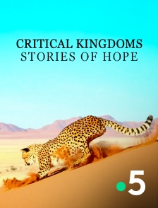 France 5 - Critical Kingdoms: Stories of Hope