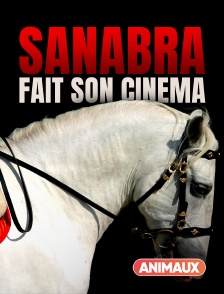 Sanabra fait son cinéma