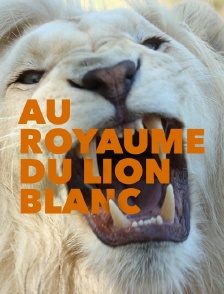 Au royaume du lion blanc