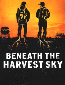 Beneath the harvest sky