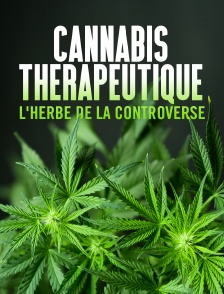 Cannabis thérapeutique, l'herbe de la controverse