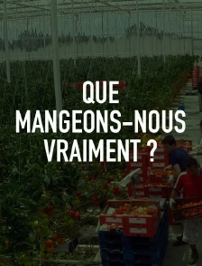 Que mangeons-nous vraiment ?