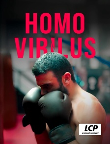 LCP 100% - Homo virilus : la fabrique du mâle-être