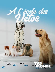 TV5MONDE - A l'école des vétos