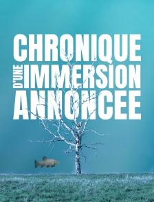 Chronique d'une immersion annoncée