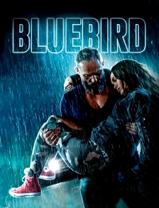 Bluebird