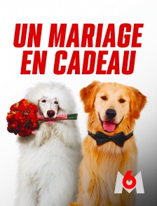 Un mariage en cadeau