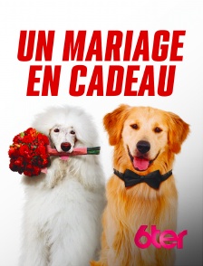 6ter - Un mariage en cadeau