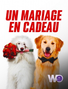W9 - Un mariage en cadeau