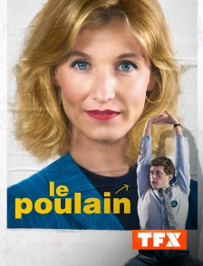 Le poulain