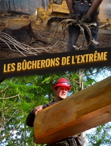 Les bûcherons du marais