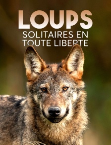 Loups solitaires en toute liberté
