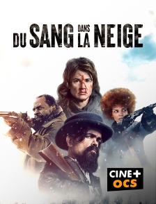 CINÉ Cinéma - Du sang dans la neige