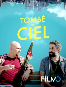 FilmoTV - Tombé du ciel en replay