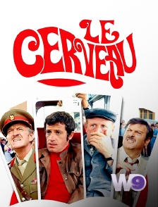 W9 - Le Cerveau