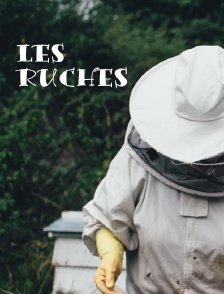 Les ruches