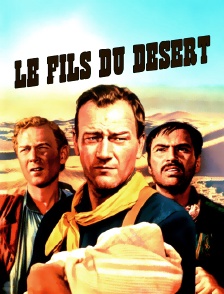 Le fils du désert