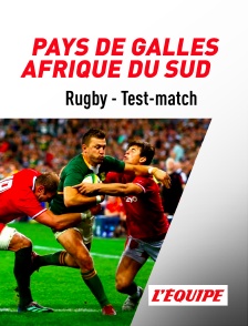 Rugby - Test-match : Pays de Galles / Afrique du Sud