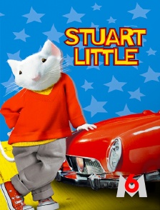 M6 - Stuart Little
