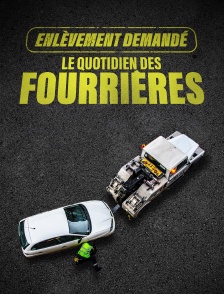 Enlèvement demandé : le quotidien des fourrières