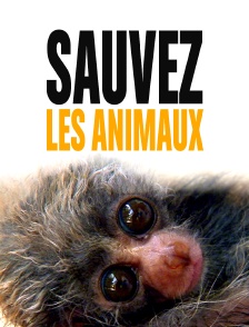 Sauvez les animaux