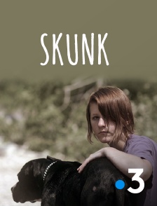 France 3 - Skunk