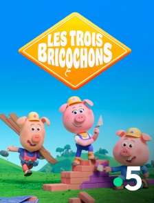 France 5 - Les trois Bricochons