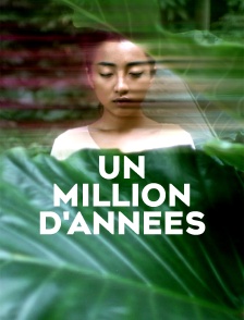 Un million d'années