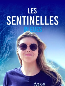 Les sentinelles bleues