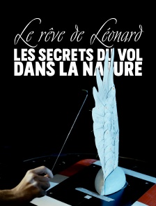 Le rêve de Léonard les secrets du vol dans la nature