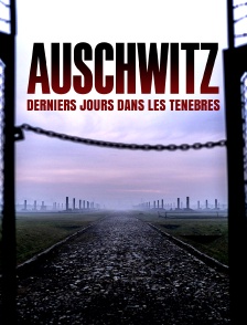 Auschwitz : derniers jours dans les ténèbres